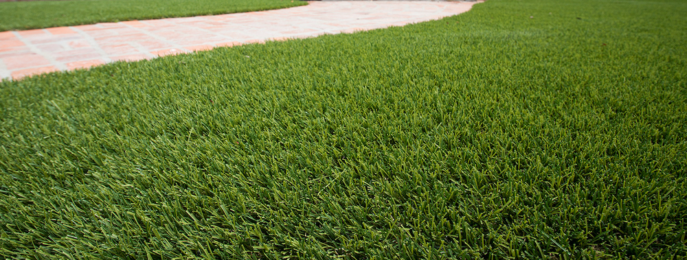 grass turf in Lacygne, KS